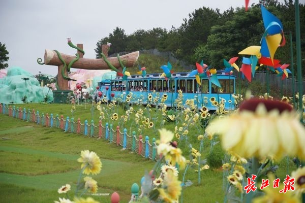 点击查看高清原图